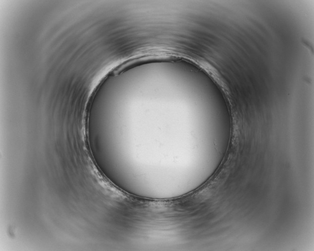 X0000099540904200805301458