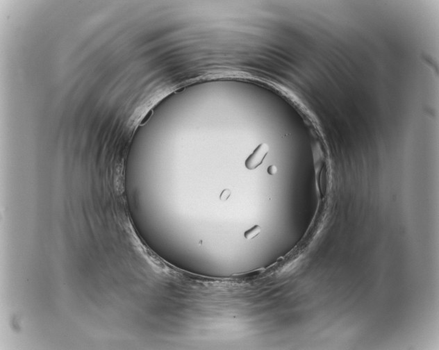 X0000099540905200805301458