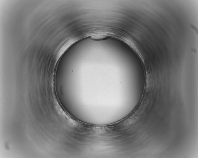 X0000099540906200805301458