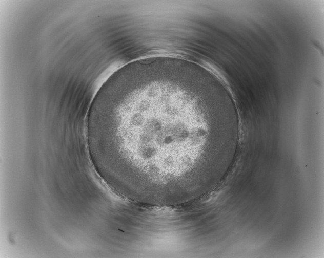 X0000099540907200805301458