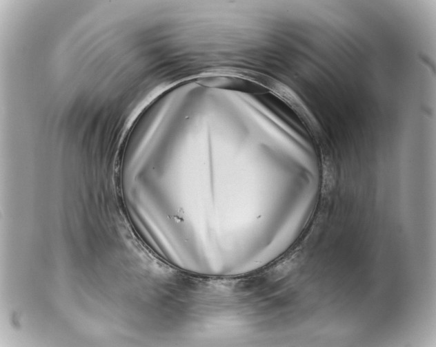 X0000099540908200805301458