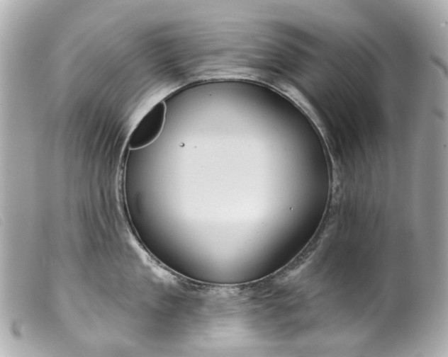 X0000099540909200805301458