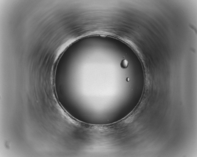 X0000099540910200805301458