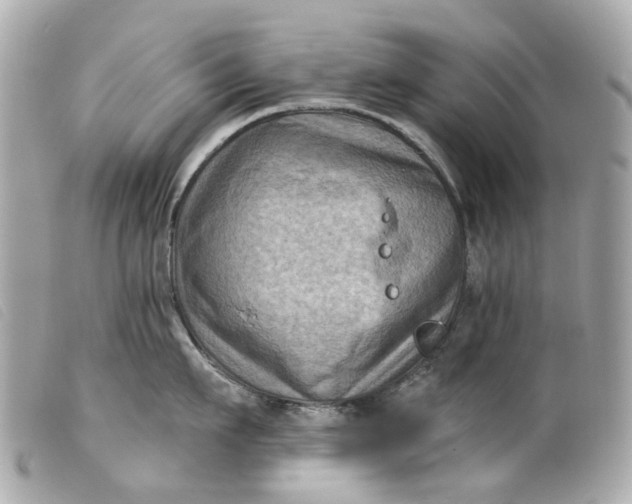 X0000099540911200805301458