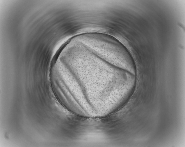 X0000099540912200805301458