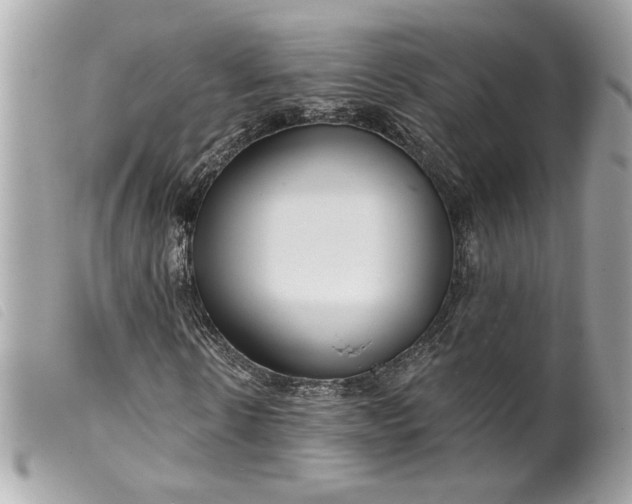 X0000099540914200805301457