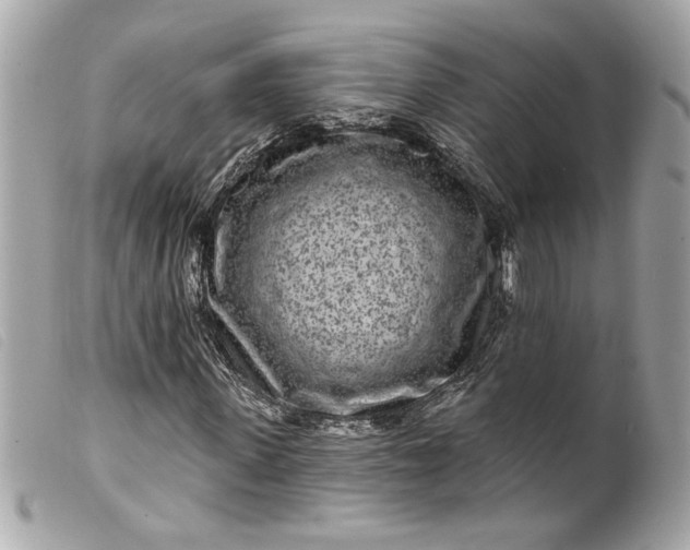 X0000099540915200805301457