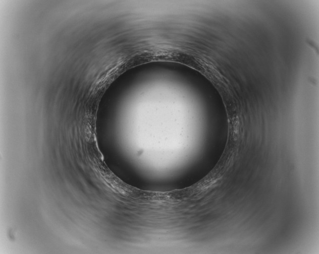 X0000099540916200805301457