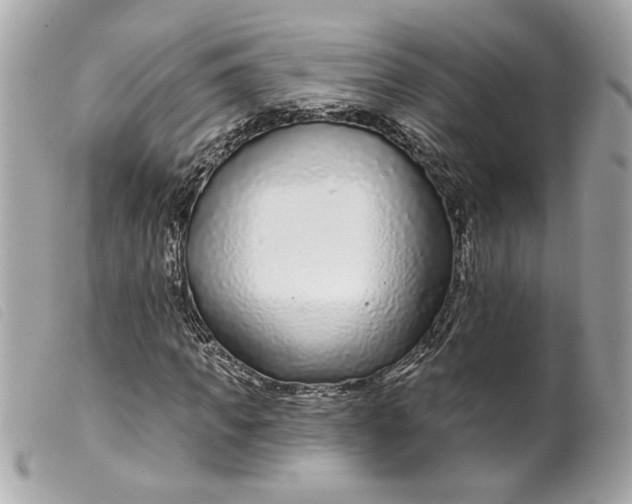 X0000099540917200805301457