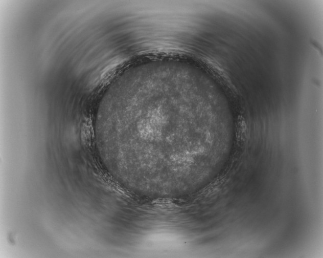 X0000099540918200805301457