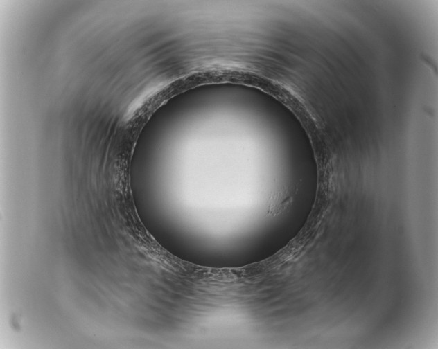 X0000099540919200805301457