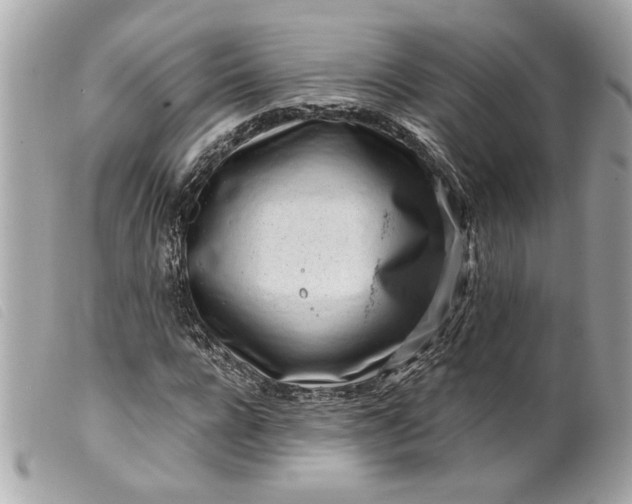 X0000099540920200805301457