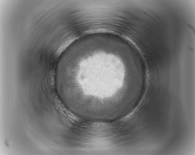 X0000099540921200805301457