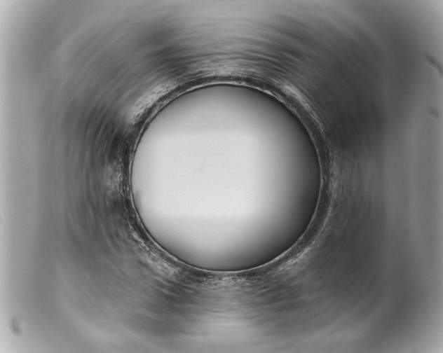 X0000099540922200805301457