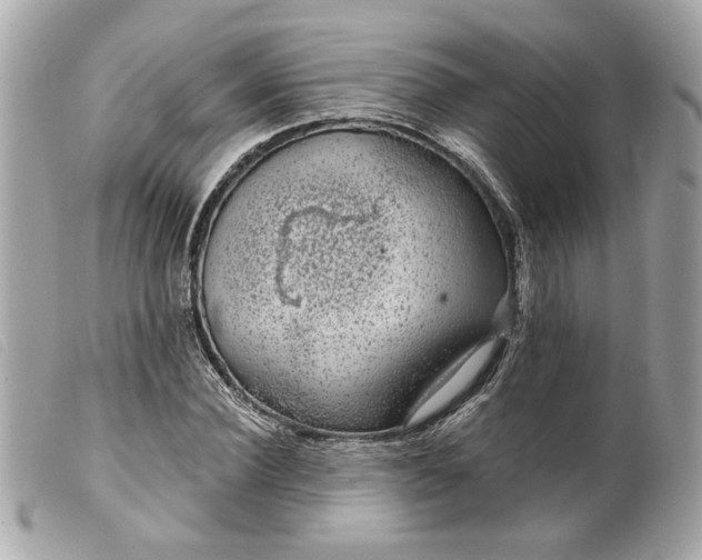 X0000099540924200805301457