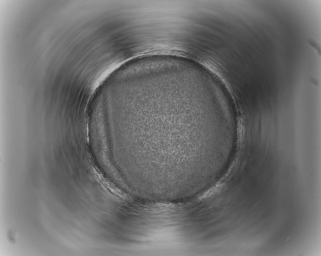 X0000099540925200805301457