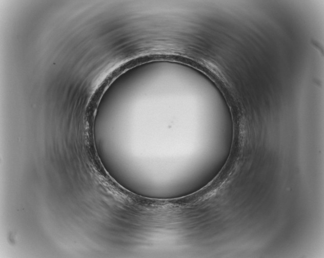 X0000099540926200805301457