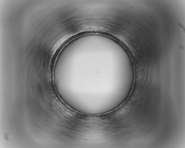 X0000099540927200805301457