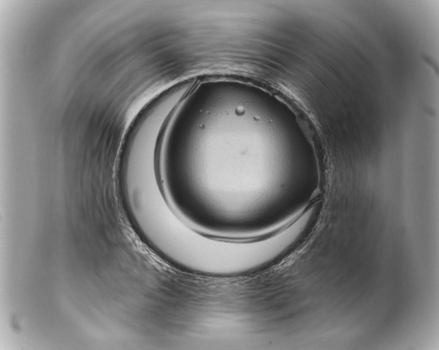 X0000099540928200805301457