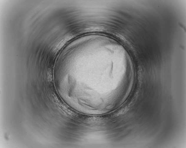 X0000099540929200805301457