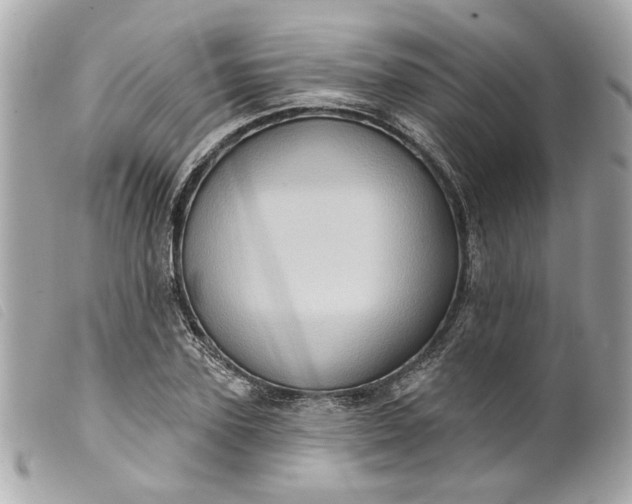 X0000099540931200805301457