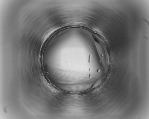 X0000099540932200805301457