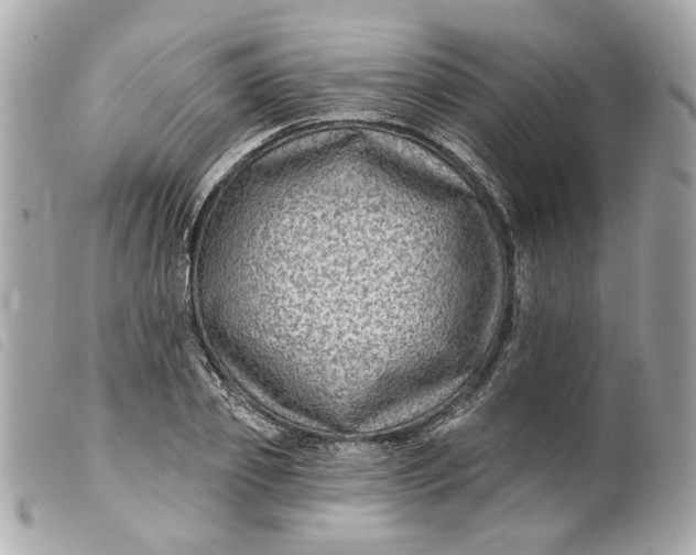 X0000099540933200805301457