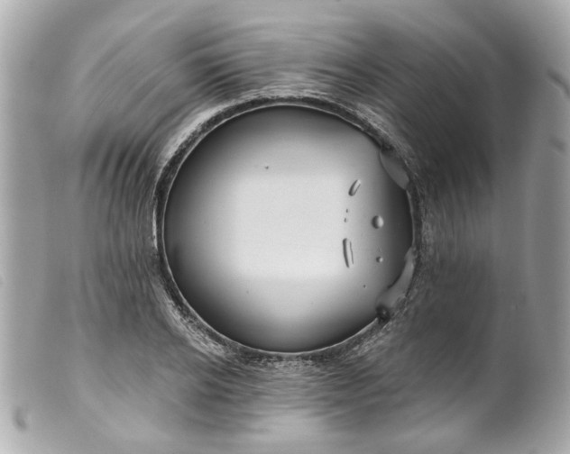 X0000099540934200805301457