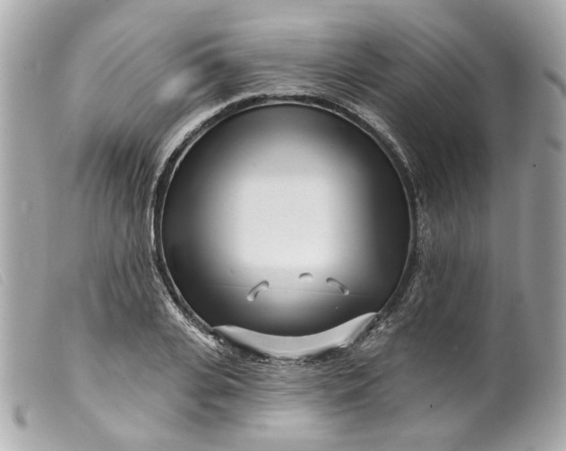 X0000099540935200805301457