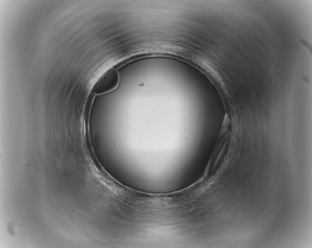 X0000099540936200805301457