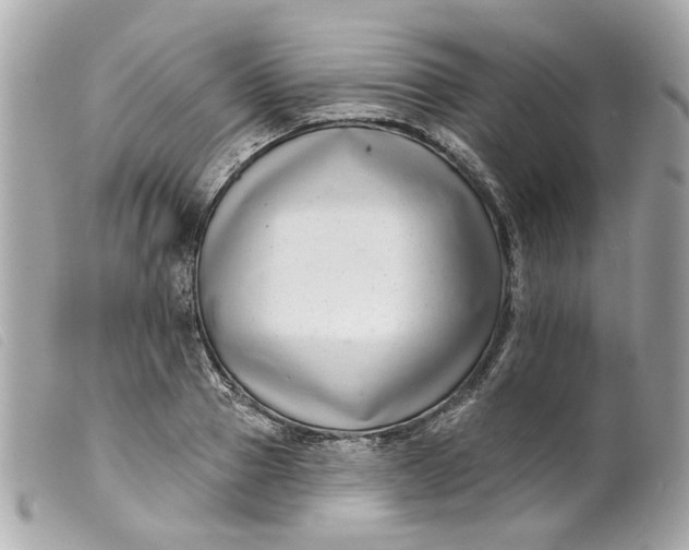 X0000099540937200805301457