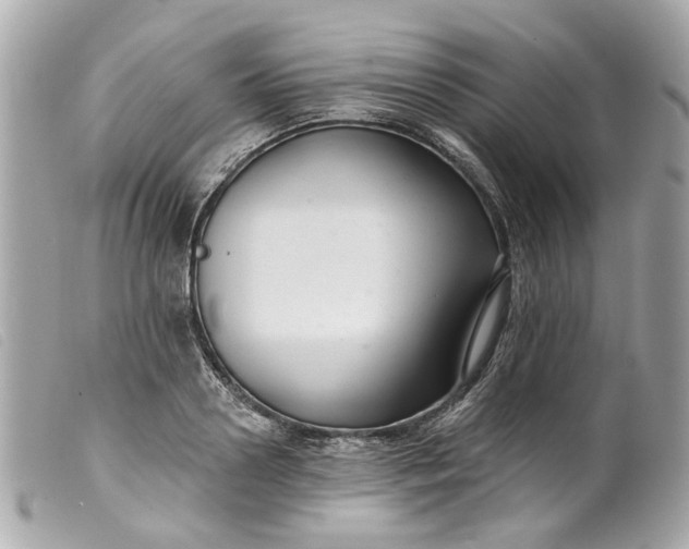 X0000099540938200805301457