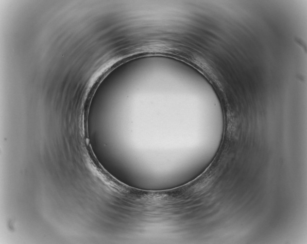 X0000099540939200805301457