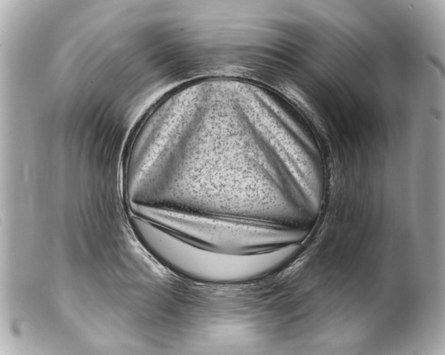 X0000099540940200805301457