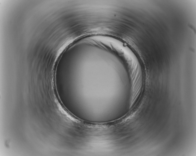 X0000099540941200805301457