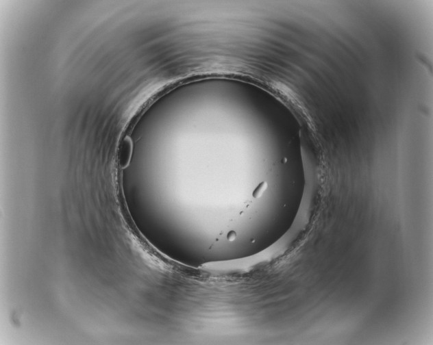 X0000099540942200805301457