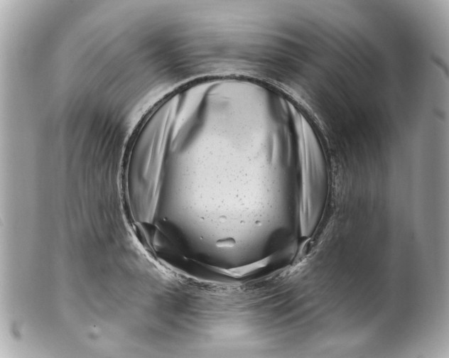 X0000099540943200805301457