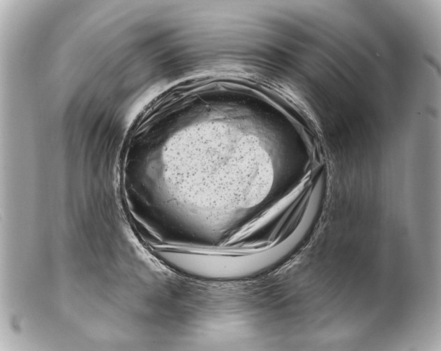 X0000099540944200805301457