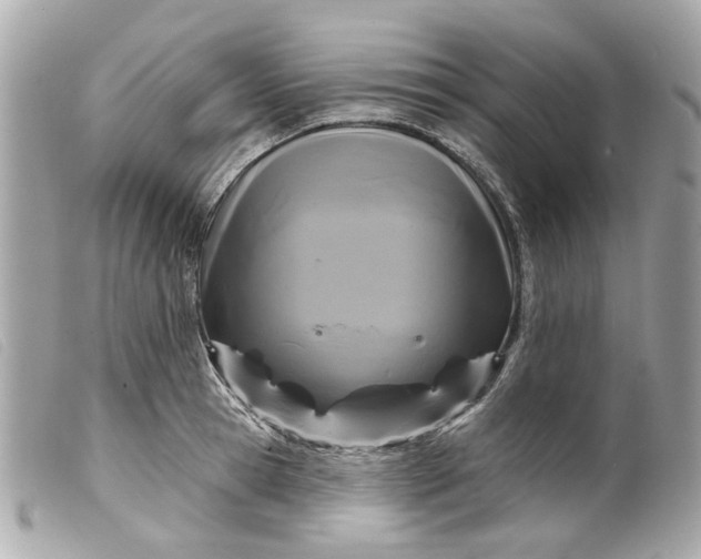 X0000099540945200805301457