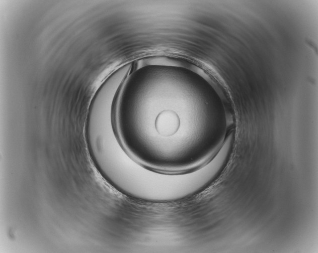 X0000099540946200805301457