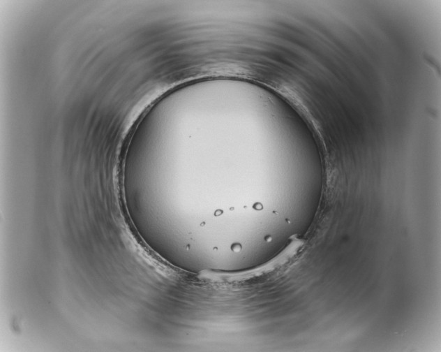 X0000099540947200805301457