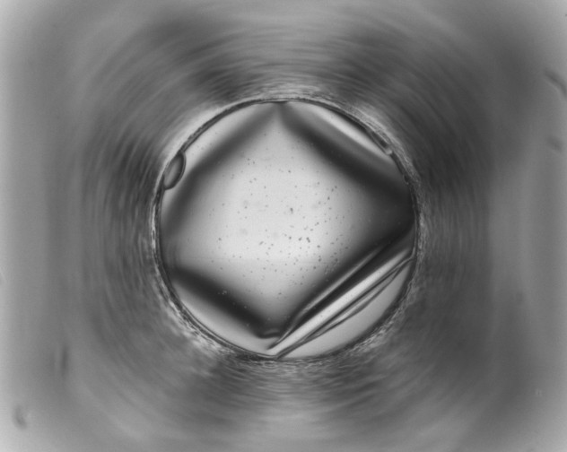 X0000099540948200805301458