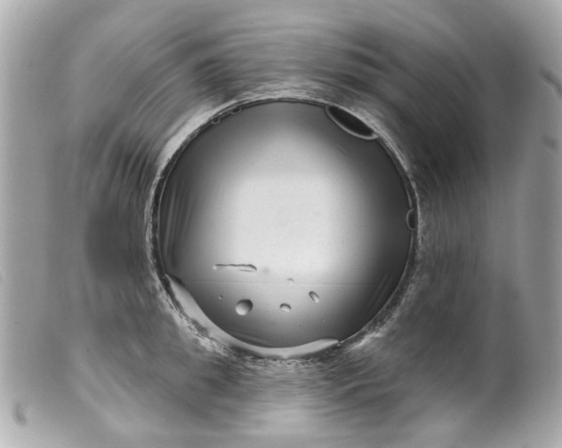 X0000099540949200805301458