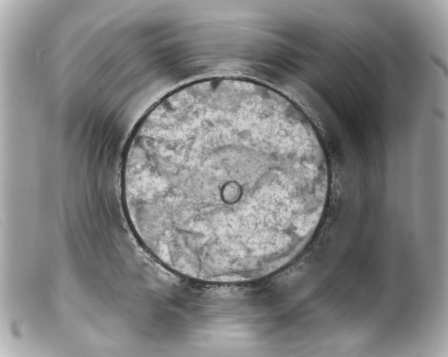 X0000099540950200805301458