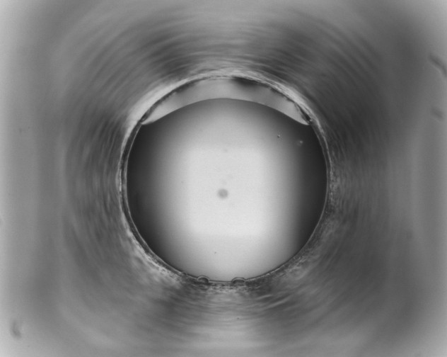 X0000099540951200805301458