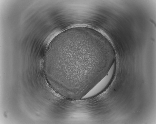 X0000099540953200805301458