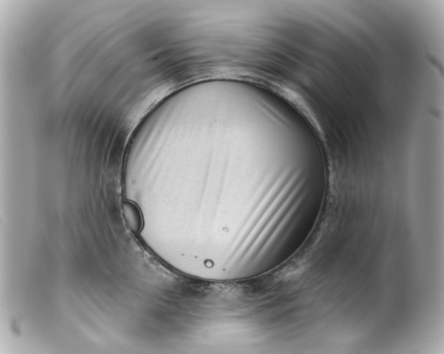 X0000099540954200805301458