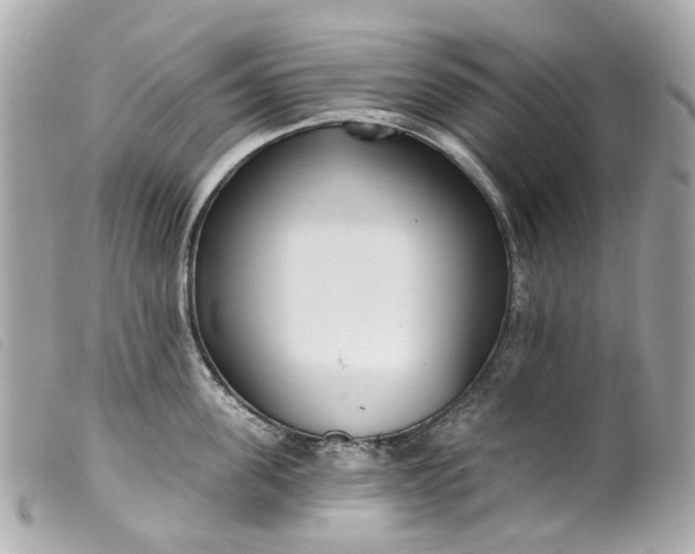 X0000099540955200805301458