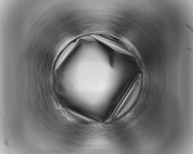 X0000099540956200805301458