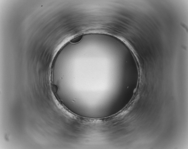 X0000099540957200805301458